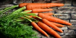 Vegetables purchasing