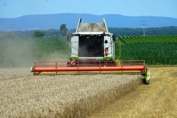 Agricultural Machinery Buying