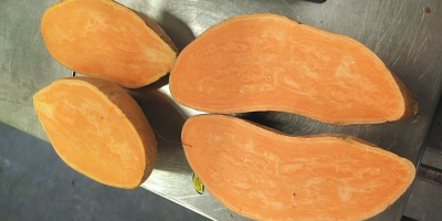Sweet potato in 6/18 kg boxes and BB 80/150g,