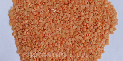 *** Red lentils (halves) *** Quality parameters: Purity -