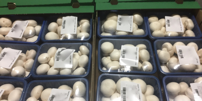 I will sell mushrooms, loose and packed mushrooms, packaging