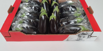 On sale a Spanish eggplant (large) without intermediaries (straight