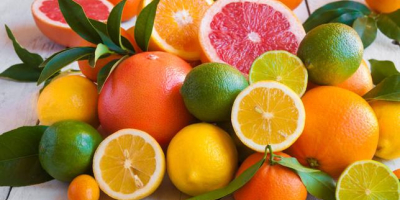 CHEAP SPANISH CITRUS (orange, tangerine, lemon, other)! Spanish exporter
