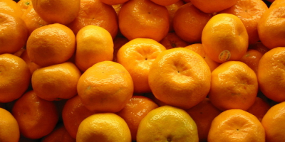 увоз цитруса из Шпаније, већ доступни лимони и мандарине,
