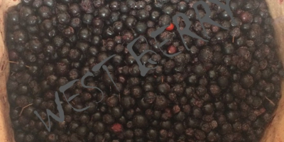 We will sell frozen chokeberry from Ukraine - 10