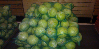 I will sell loose cabbage. Large quantities. Also fodder