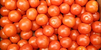 Cocktail tomato, fresh, nice, 3 kg cardboard.
