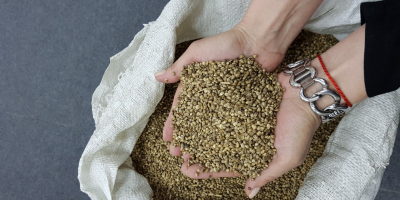• Конопени семена за хранителни продукти - 185 тона