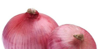 Fresh onion exports red onion new crop for export