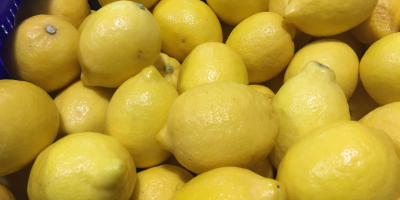 I will sell a lemon, import from Spain, primafiori,