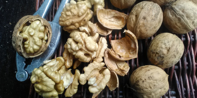 husked walnut, very good quality, from an organic farm,