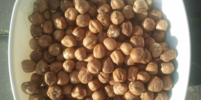 I have a continuous sale of husked hazelnut from