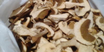Dried boletus, 10 kg