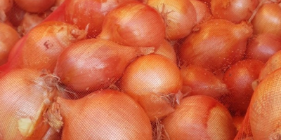 I will sell onions in large quantities. Min 100