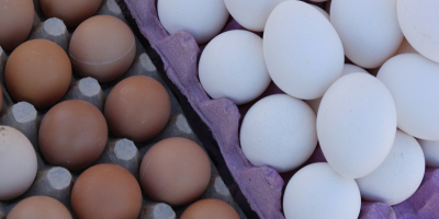 Ukraine. Eggs for dietary hens from 1.7l pack of