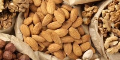 Cashew Nuts / Pistachio Nut / Pine Nuts /