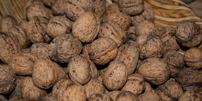 Vendo noci dal 2018. Le noci sono fresche e