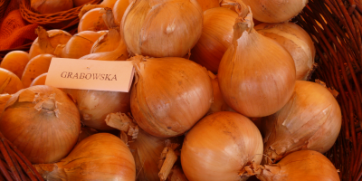 We offer fresh onions, garlic, ginger, kale 2019 harvest