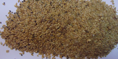 for sale flax gold II grade, quality compatible with