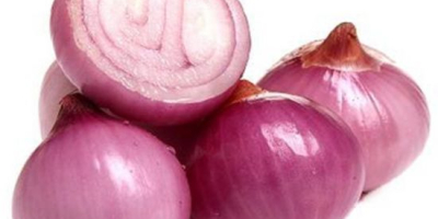 Fresh Red, Yellow and White Onions Product: Fresh onions