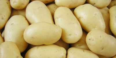 Frische Kartoffeln aus Dänemark 1. Spezifikationen: 1) 50-100 g