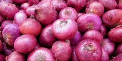 We offer top quality fresh onions that are used