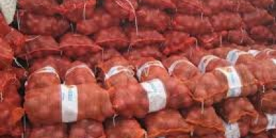 Whatsapp: +46736819530 We have the highest quality fresh red,