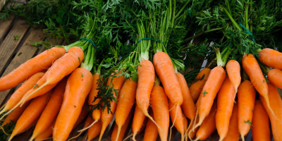 Carrots of all sizes with the best prices, which