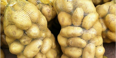 Old potatoes 15kg, 25kg, the price excluding VAT includes