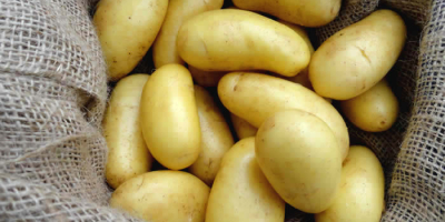Стари картофи 15кг, 25кг, цената без ДДС включва доставката