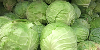 Cabbage 1 kg - 2 kg from Denmark, good