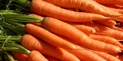 fresh caliber onion 5+, fresh carrots, old potatoes, garlic,