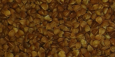 Buckwheat peeled roasted - country of origin - Ukraine