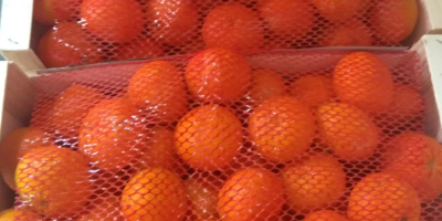 Az Ortanique mandarin csomagolást 10 kg-os fát vásárolnék, körülbelül
