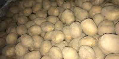 Качество на картофите Лук Узбекистан Произход Кале марка Ние