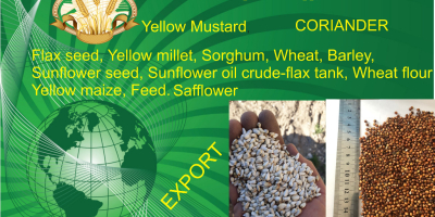 Flax Seed. 1000 mt. yellow millet-500 mt. coriander. safflower,