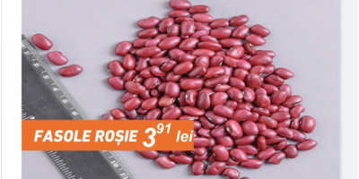 Red beans, quantity 20 tons, bags 50kg, price including