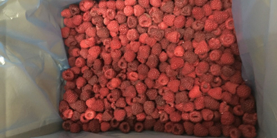 Organic raspberry (frozen) from a Ukrainian producer We are