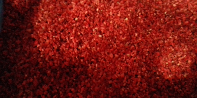 Organic raspberry (frozen) from a Ukrainian producer We are