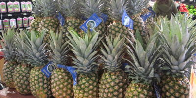 Fresh pineapples 1. Medium: 1 to 1.4 kg /