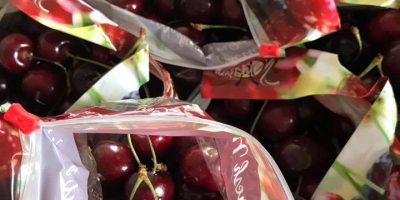 Specifications Fresh Cherry 1) Fresh cherry 2) Early large-size