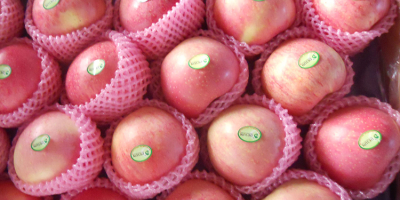 Извозимо јабуке као што су Фуји, Голден Делициоус, Гранни