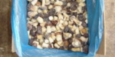 Produs: ciupercă de pădure neagră uscată Specificații Material: 100%