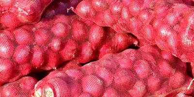 fresh onion: packaging: 10 kg / 20 kg bag