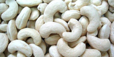 Specifications of Raw Cashew Nuts Grade: White Wholes: W240