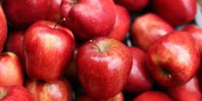 Свјежа јабука доступна и висококвалитетна наредба из било којег