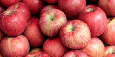 Fresh apple available and high quality command from any