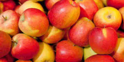 Свјежа јабука доступна и висококвалитетна наредба из било којег