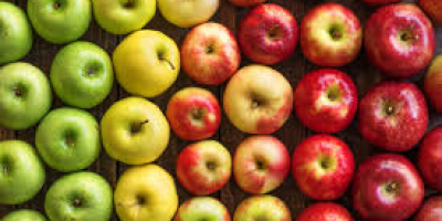 Fresh apple available and high quality command from any