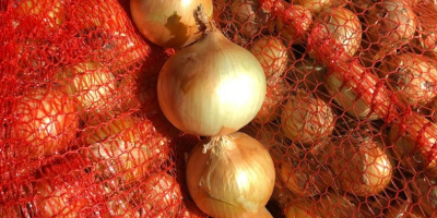We sell onions fresh 4-8 caliber in raschel or